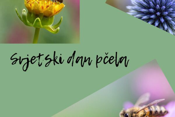 PHOTO-2021-05-20-11-46-31